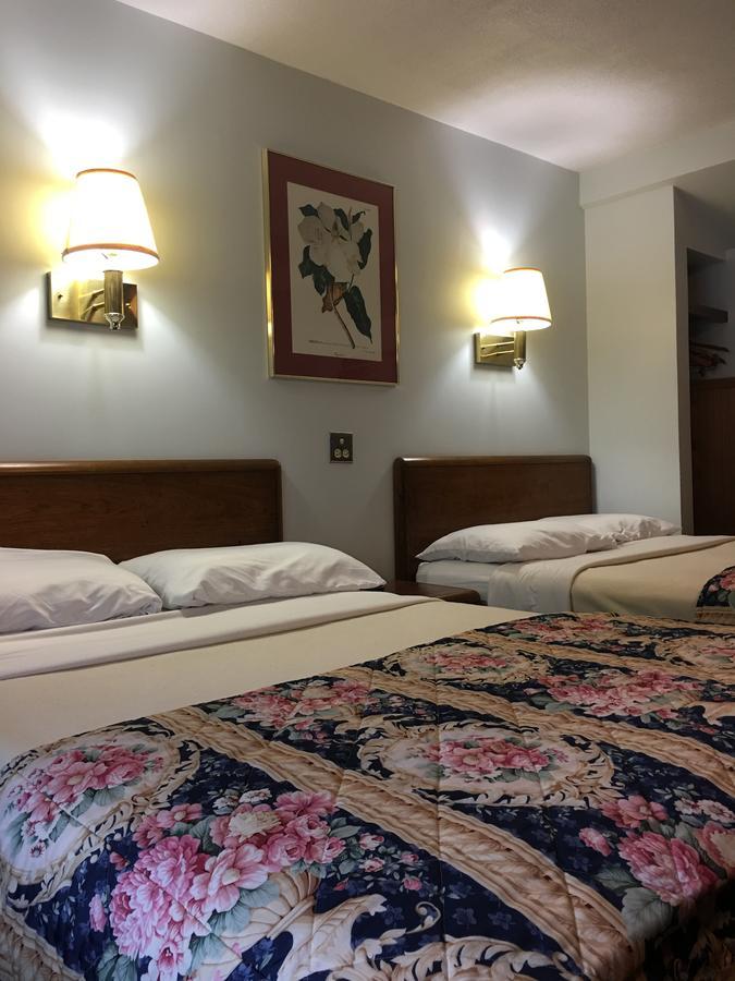 Barberry Court Motel &Cabins Лейк Джордж Екстериор снимка
